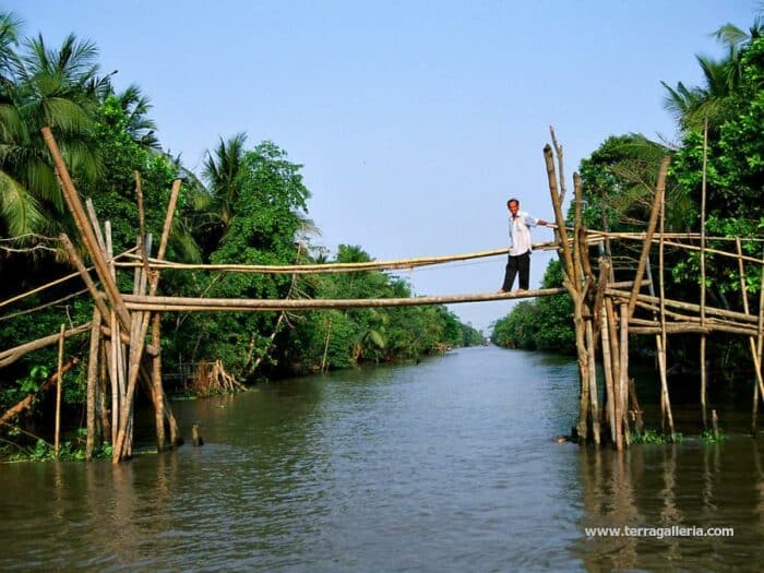 Monkey Bridge, Vietnam