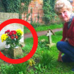 หญิงชราพบดอกไม้บนหลุมศพสามี จดหมายด้านในทำให้เธอรู้สึกช็อค