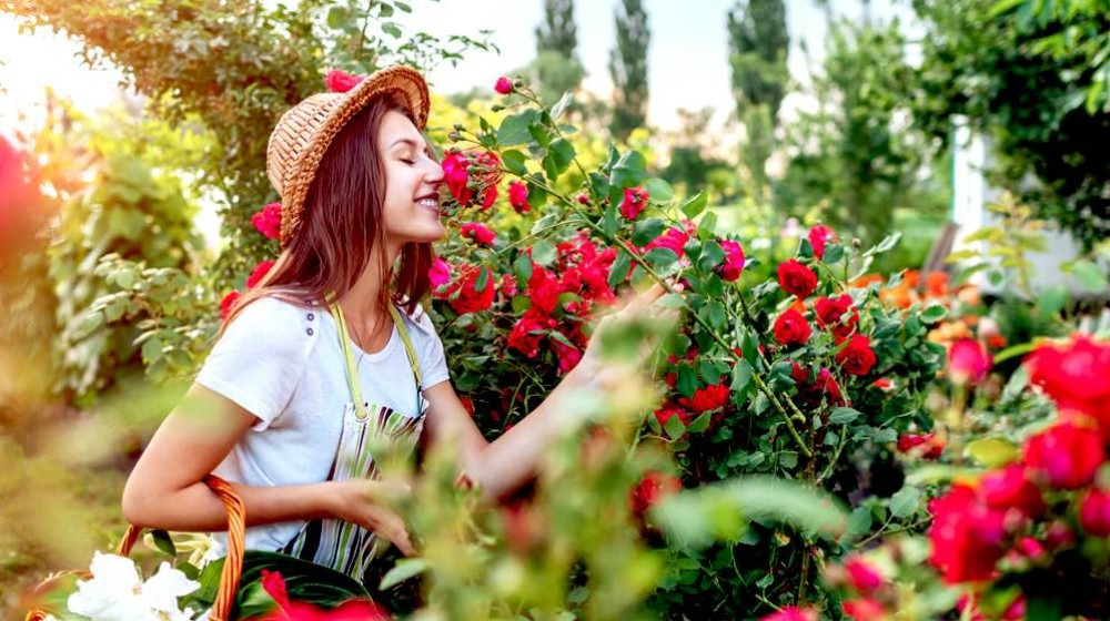 Mujer sonriendo y tocando una rosa roja