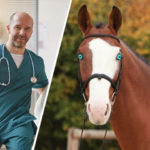 Rodina si koupí nového koně – když ho veterinář uvidí, zavolá ihned policii