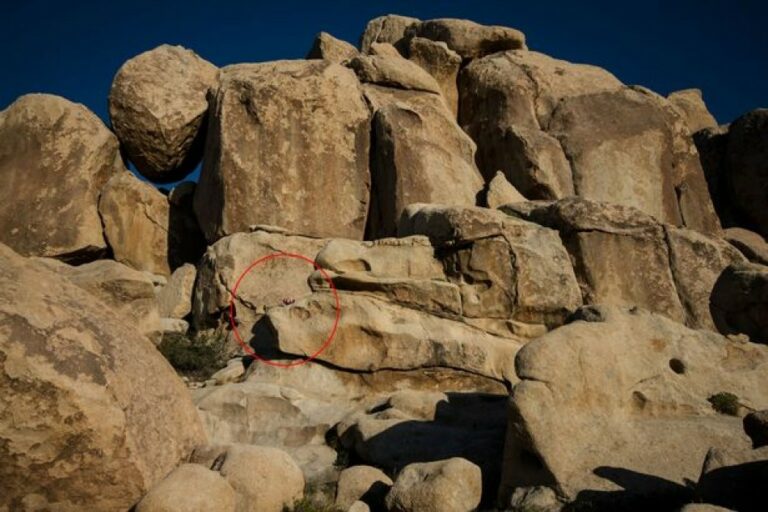 Regardez bien : pouvez-vous voir la fille parmi les rochers ? Presque personne ne peut la trouver !