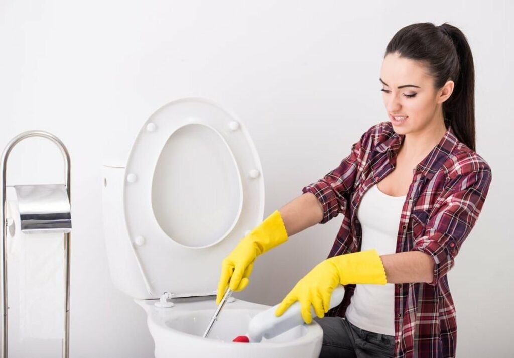 woman cleans a toilet