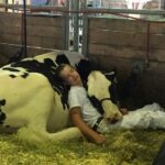 Αγρότης βρίσκει αγελάδα που αγνοείται μετά από 8 μήνες - είναι σοκαρισμένος
